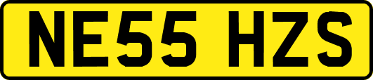 NE55HZS