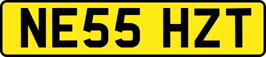 NE55HZT