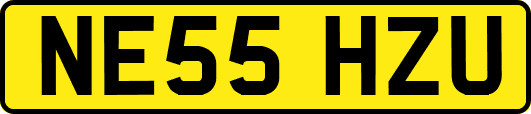 NE55HZU