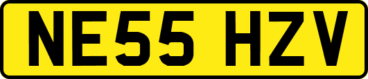 NE55HZV