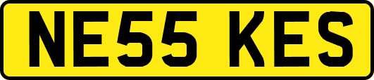 NE55KES