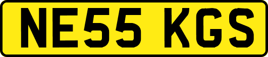 NE55KGS