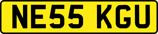 NE55KGU