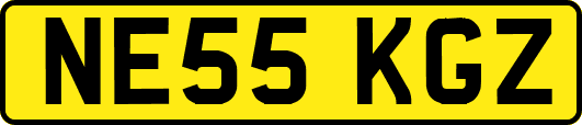NE55KGZ