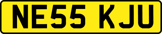 NE55KJU