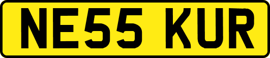 NE55KUR