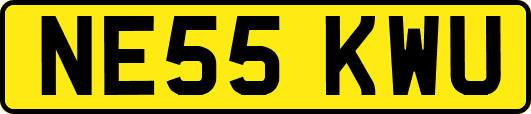 NE55KWU