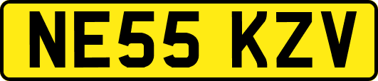 NE55KZV