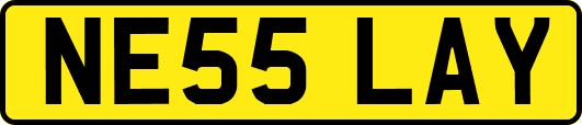 NE55LAY