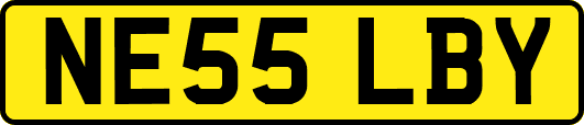 NE55LBY