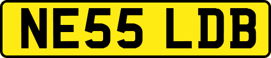 NE55LDB