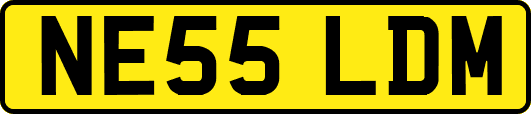 NE55LDM