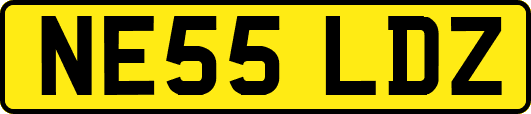 NE55LDZ