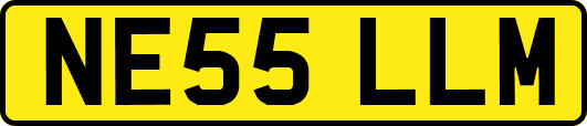NE55LLM