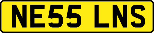 NE55LNS