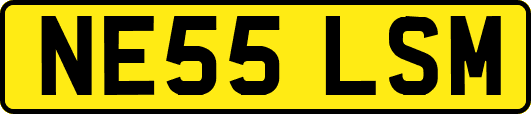 NE55LSM