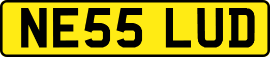 NE55LUD