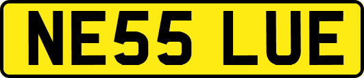 NE55LUE