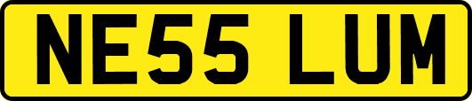 NE55LUM