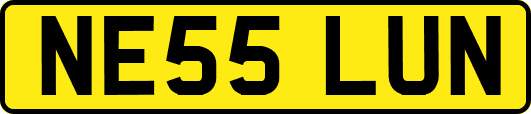 NE55LUN