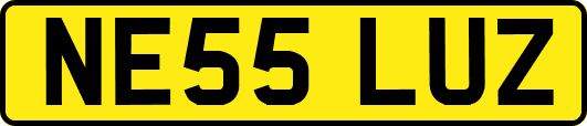 NE55LUZ