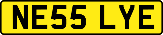 NE55LYE