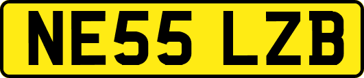 NE55LZB