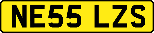 NE55LZS