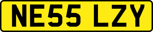 NE55LZY