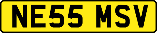 NE55MSV
