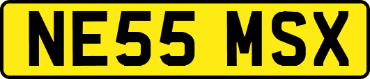 NE55MSX