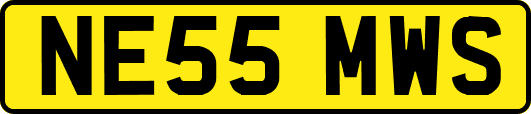NE55MWS