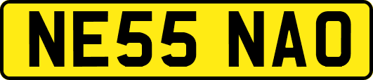 NE55NAO