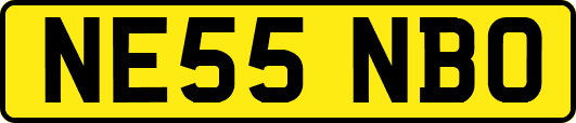 NE55NBO