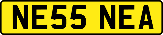 NE55NEA