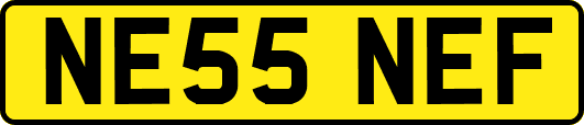 NE55NEF