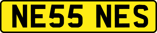 NE55NES