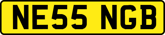 NE55NGB