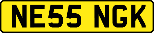 NE55NGK
