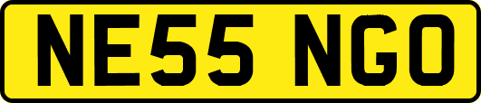 NE55NGO