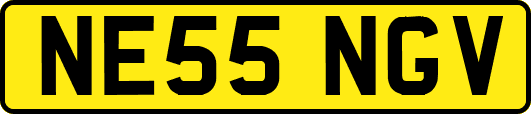 NE55NGV