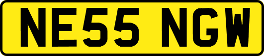 NE55NGW