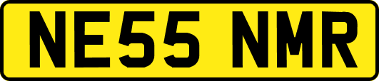 NE55NMR