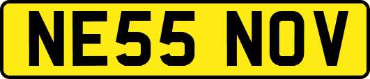 NE55NOV