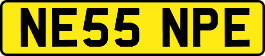 NE55NPE