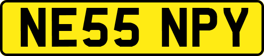 NE55NPY