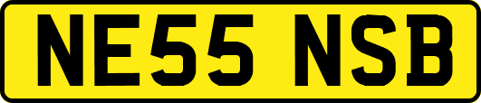 NE55NSB