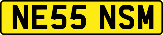 NE55NSM