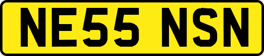 NE55NSN