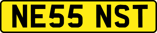 NE55NST